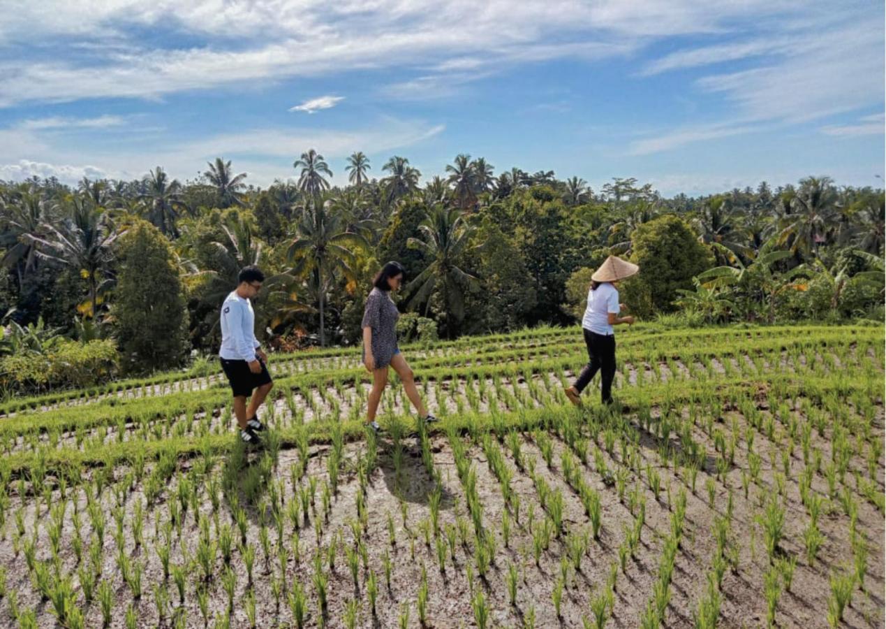 Amarta Pesagi Retreat Tabanan Villa Ngoại thất bức ảnh